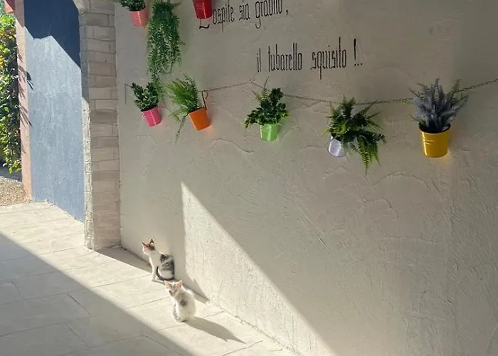 B&B Gli Amici Del Tubarello